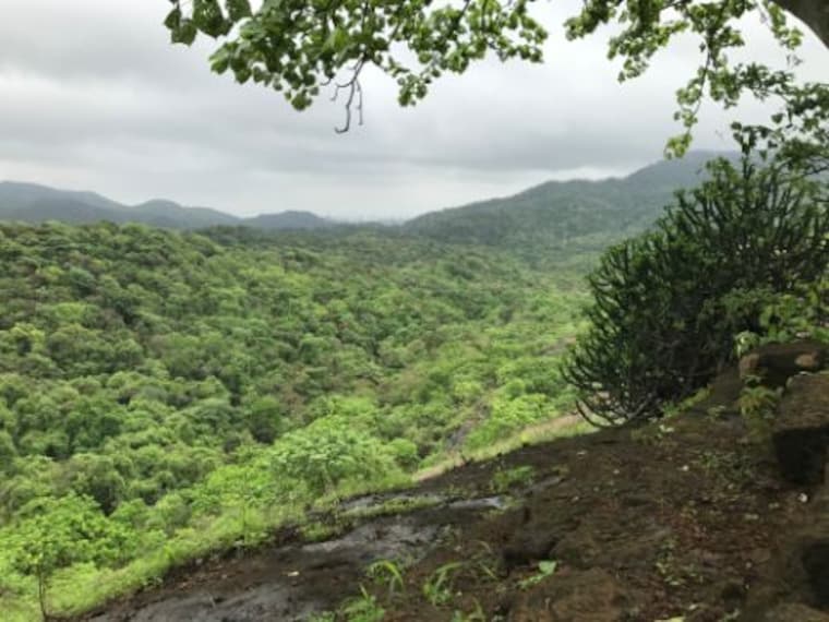 Sanjay Gandhi Park_1